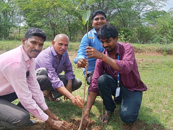 Tree Planting (10)